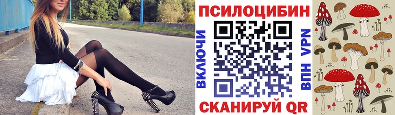 наркотики  Терек  Псилоцибиновые грибы прущие грибы 